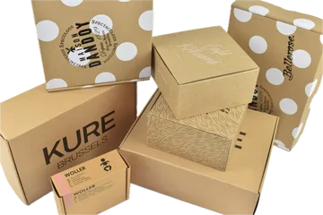 Entrega expresso Caixas em Zwijnaarde Bélgica